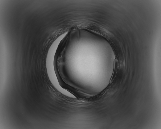 X0000086901108200705071238