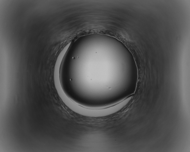 X0000086901109200705071238