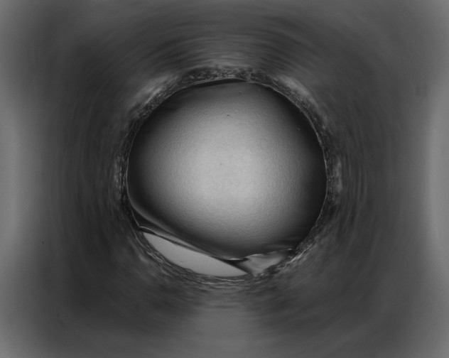 X0000086901110200705071238