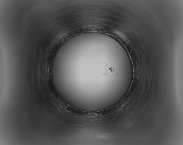 X0000086901111200705071238