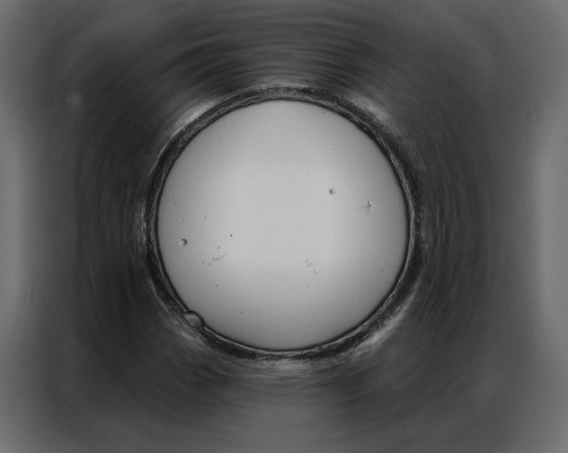 X0000086901113200705071238