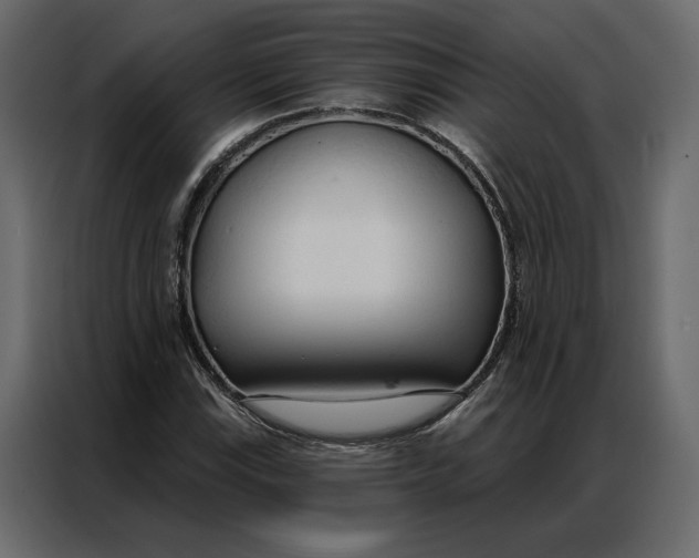 X0000086901115200705071238