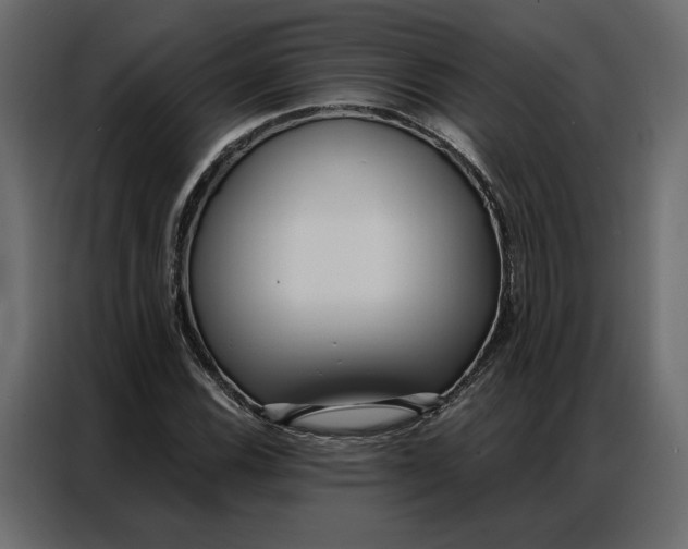 X0000086901116200705071238