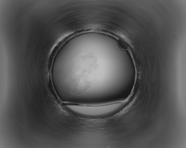 X0000086901117200705071238