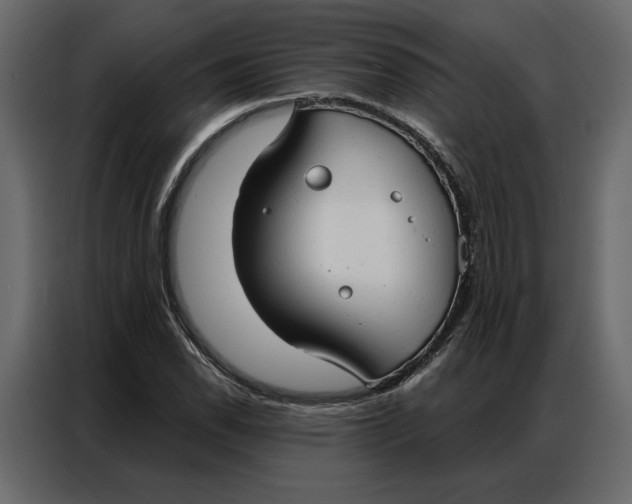 X0000086901118200705071238