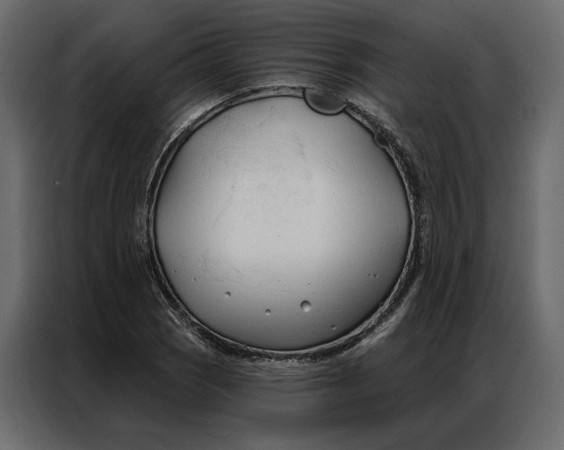 X0000086901121200705071238