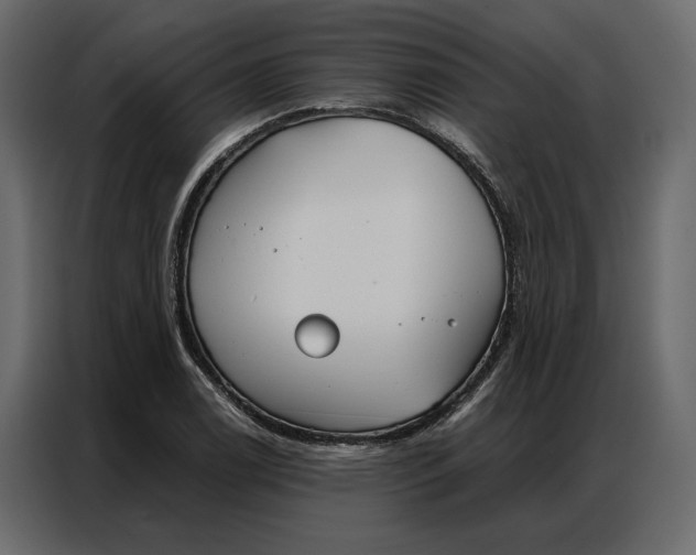 X0000086901122200705071238