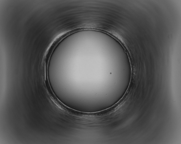 X0000086901123200705071238