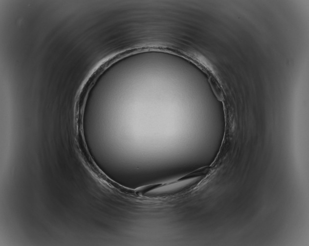 X0000086901124200705071238