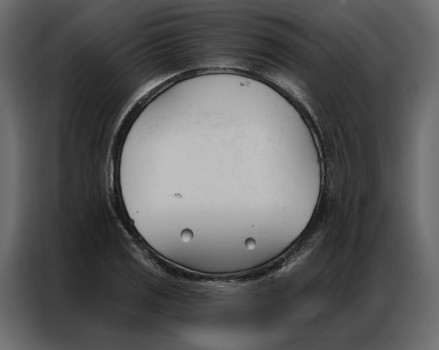 X0000086901125200705071238