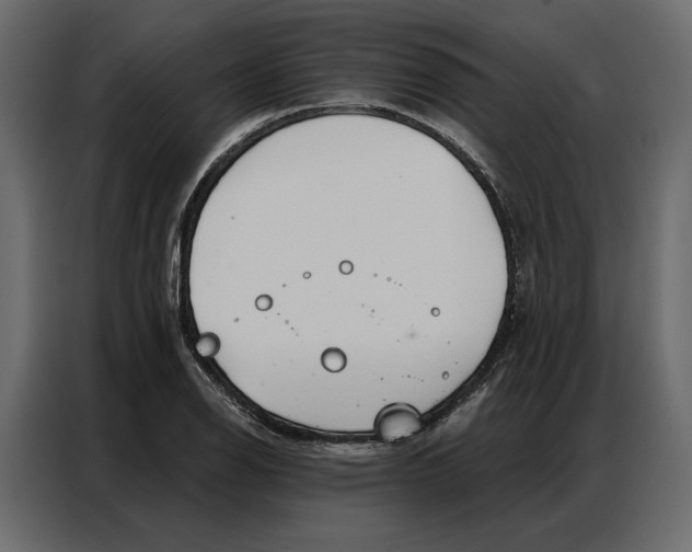 X0000086901126200705071238