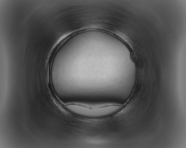 X0000086901127200705071238