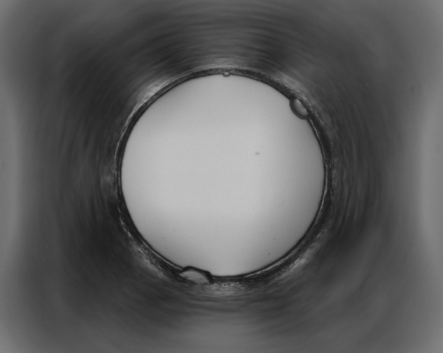 X0000086901129200705071238