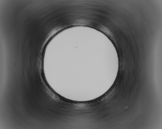 X0000086901130200705071238