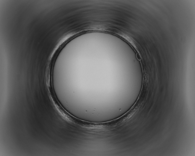 X0000086901131200705071238