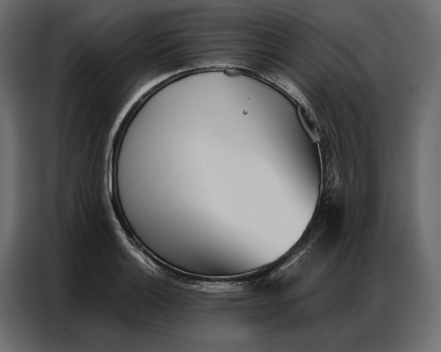 X0000086901132200705071238