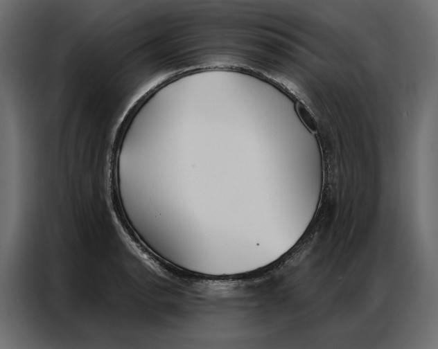 X0000086901134200705071238