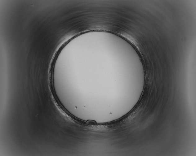 X0000086901135200705071238