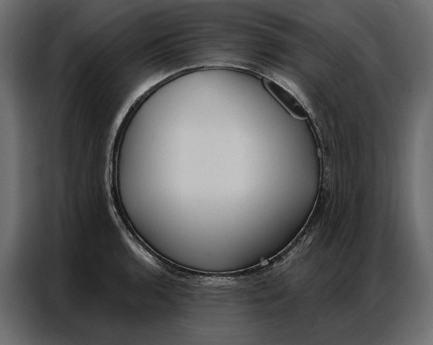 X0000086901136200705071238