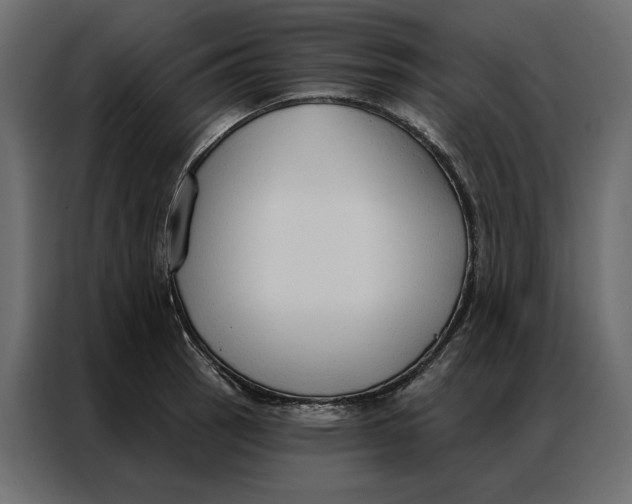 X0000086901137200705071238