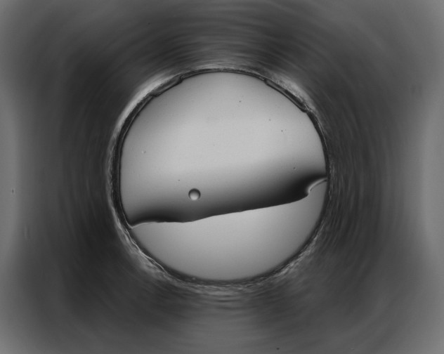 X0000086901138200705071238