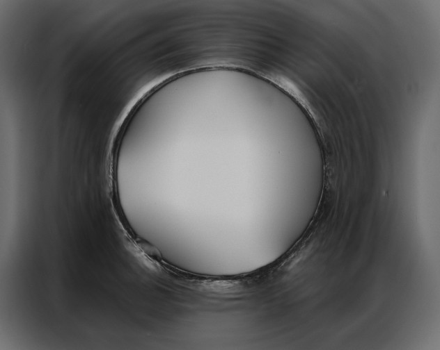 X0000086901140200705071238