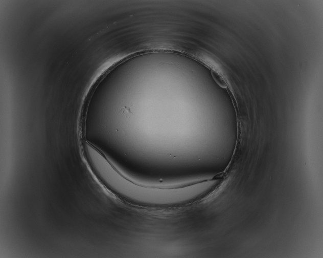 X0000086901141200705071238