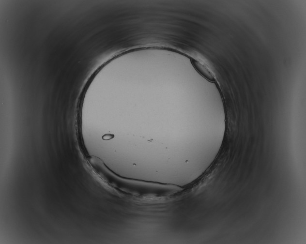 X0000086901142200705071238