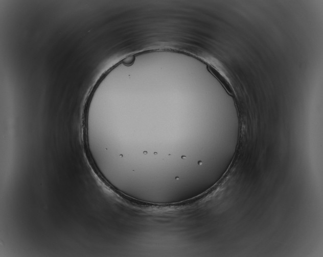 X0000086901143200705071238