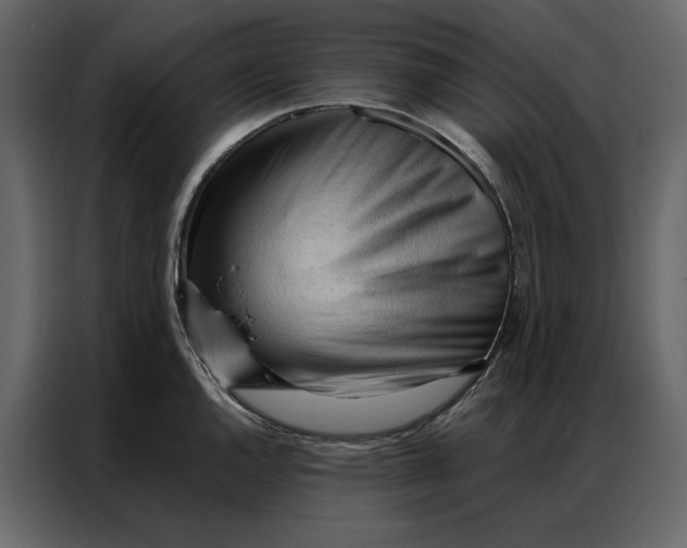 X0000086901144200705071238