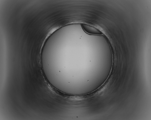 X0000086901145200705071238