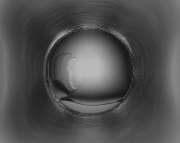 X0000086901146200705071238