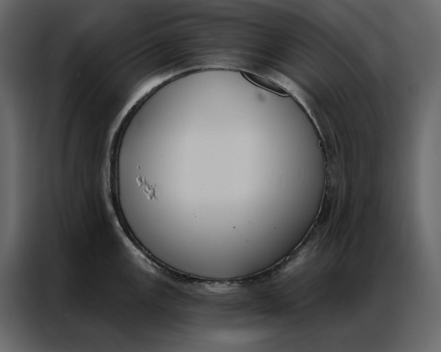 X0000086901147200705071238