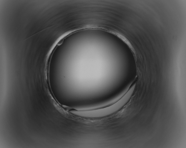 X0000086901148200705071238