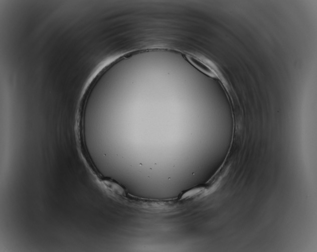 X0000086901149200705071238