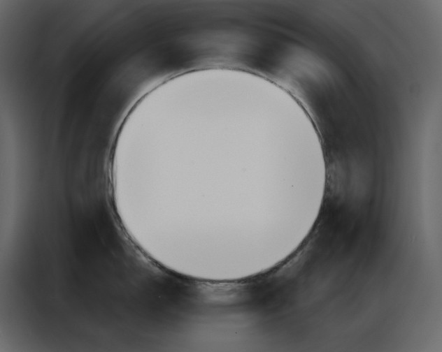 X0000086901150200705071238