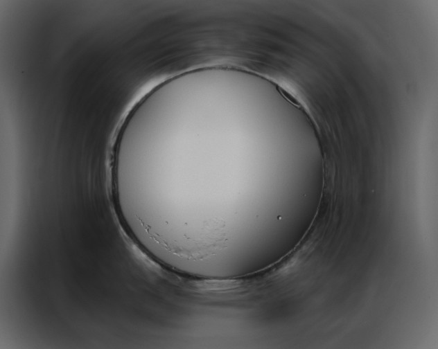 X0000086901151200705071238