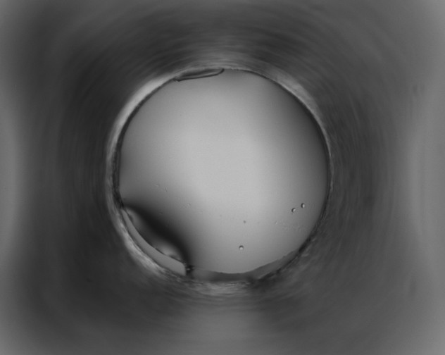 X0000086901152200705071238