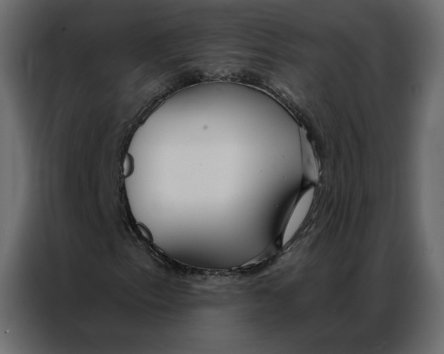 X0000086901153200705071237