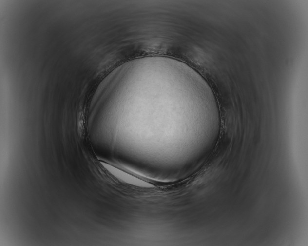 X0000086901154200705071237