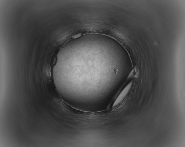 X0000086901155200705071237