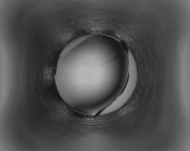 X0000086901156200705071237