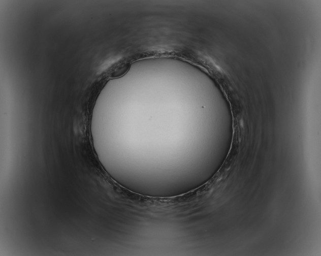 X0000086901158200705071237