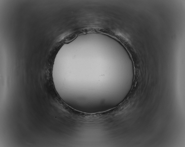 X0000086901159200705071237