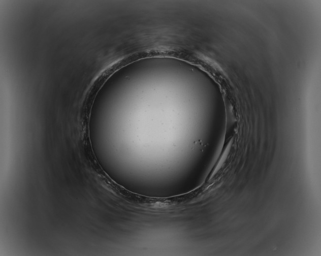 X0000086901160200705071237