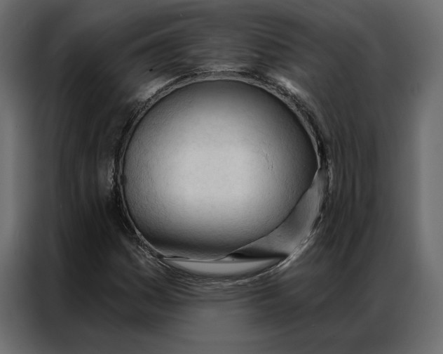 X0000086901161200705071237