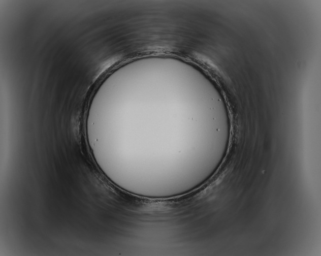 X0000086901162200705071237