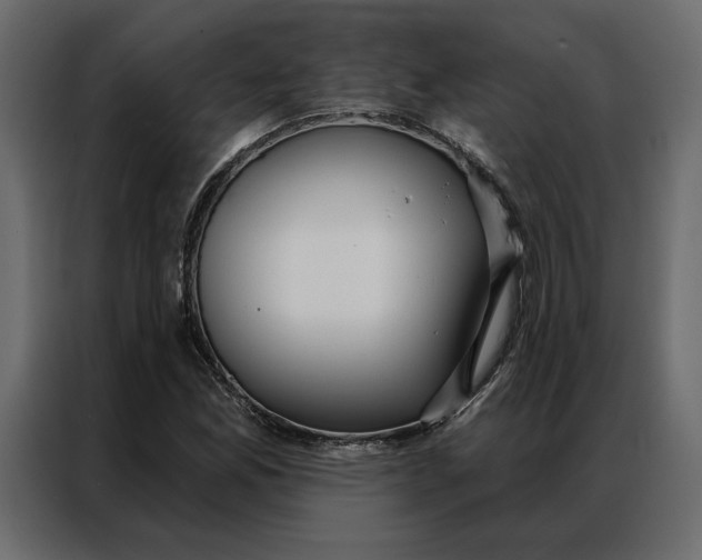 X0000086901165200705071237