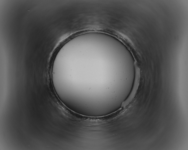 X0000086901168200705071237