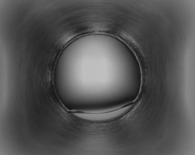 X0000086901169200705071237